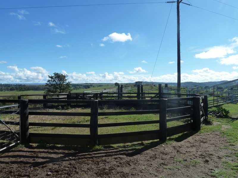 167 Webbs Road, Kyogle NSW 2474