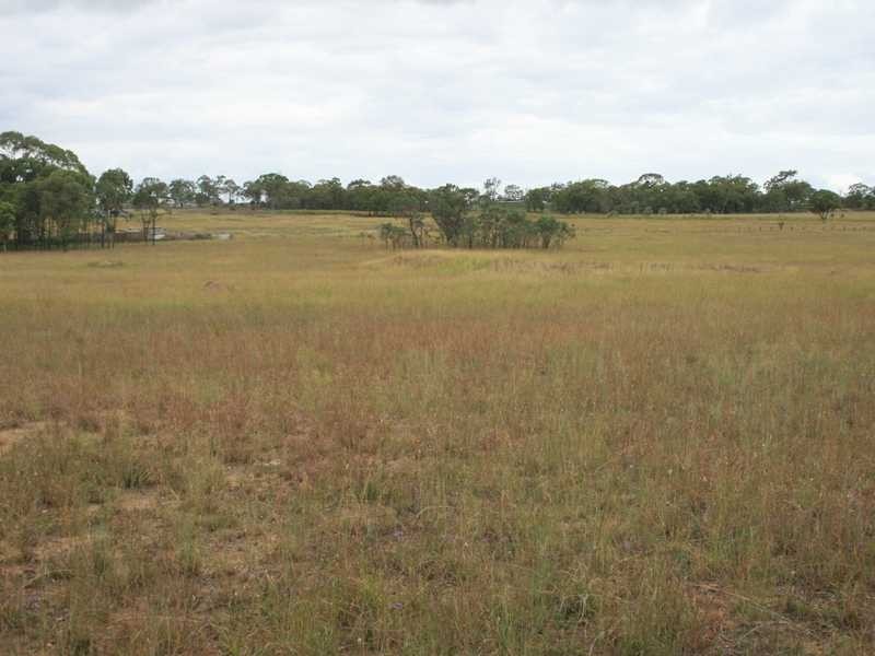 Warwick QLD 4370
