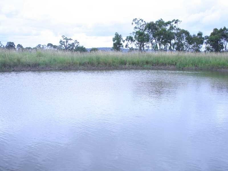 Warwick QLD 4370