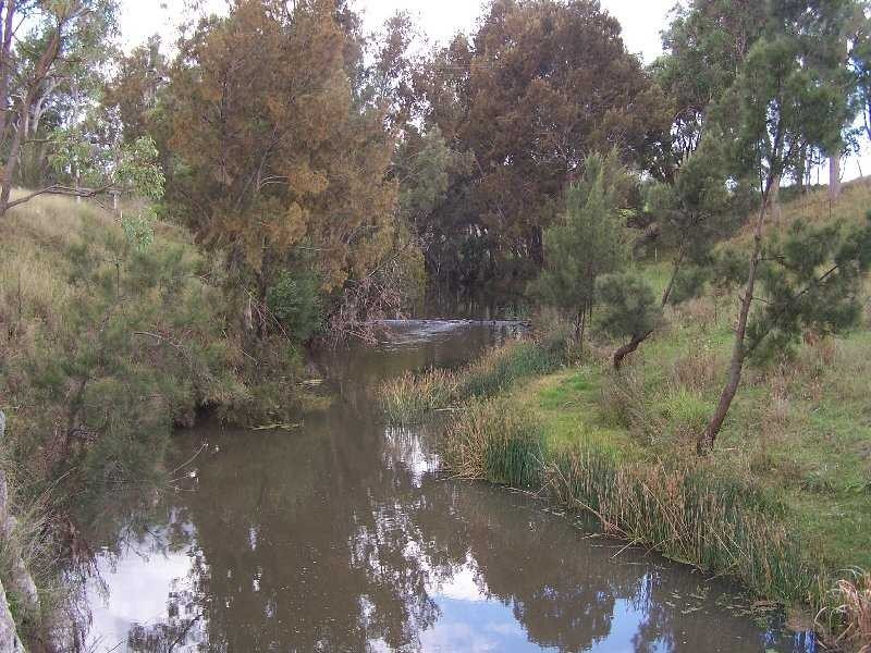 Warwick QLD 4370