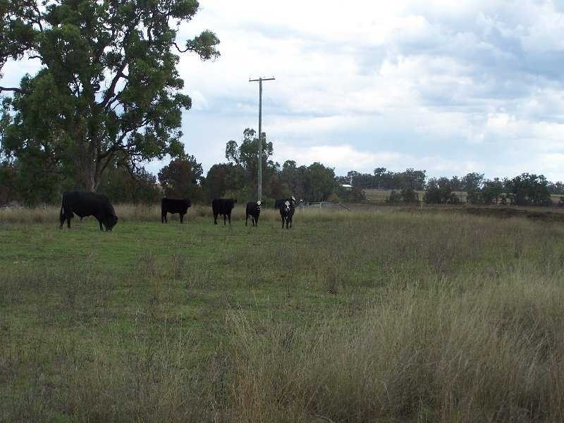 Warwick QLD 4370