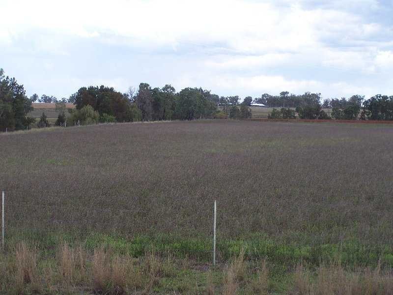 Warwick QLD 4370