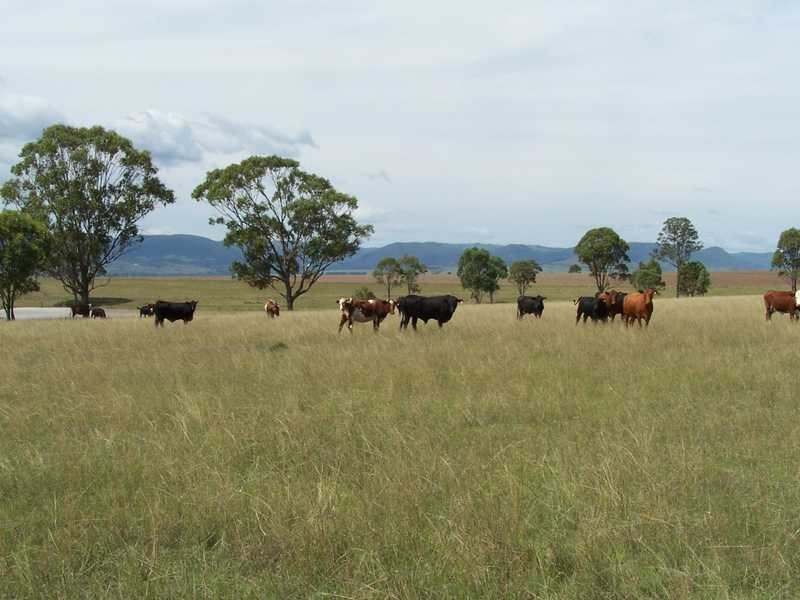 Warwick QLD 4370
