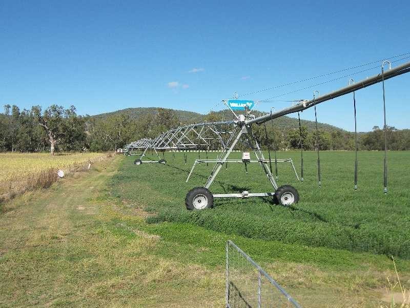 Mingoola, Tenterfield NSW 2372