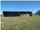 Mingoola, Tenterfield NSW 2372