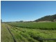 Mingoola, Tenterfield NSW 2372