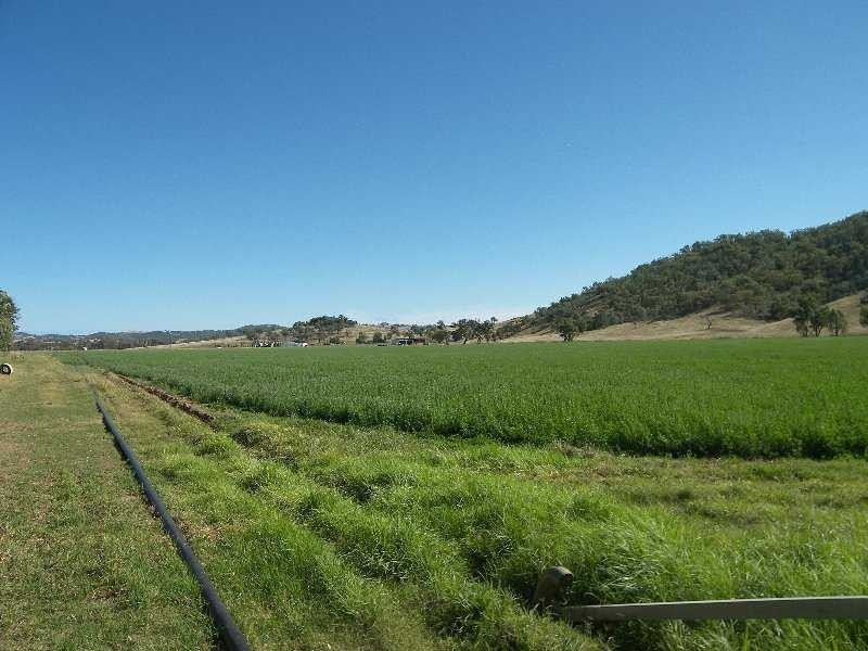 Mingoola, Tenterfield NSW 2372