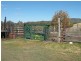 Mingoola, Tenterfield NSW 2372