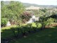 Mingoola, Tenterfield NSW 2372