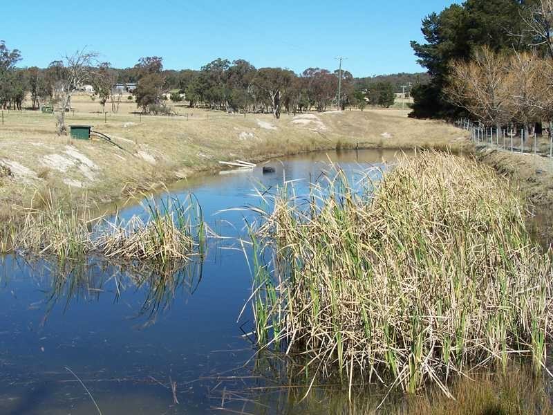 113 Teale, The Summit QLD 4377