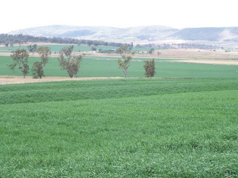 1023 Greenmount-Hirstvale Rd, Warwick QLD 4370