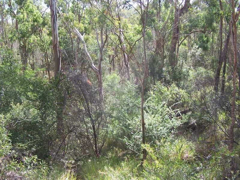 463 Charleys Gully Rd, Warwick QLD 4370