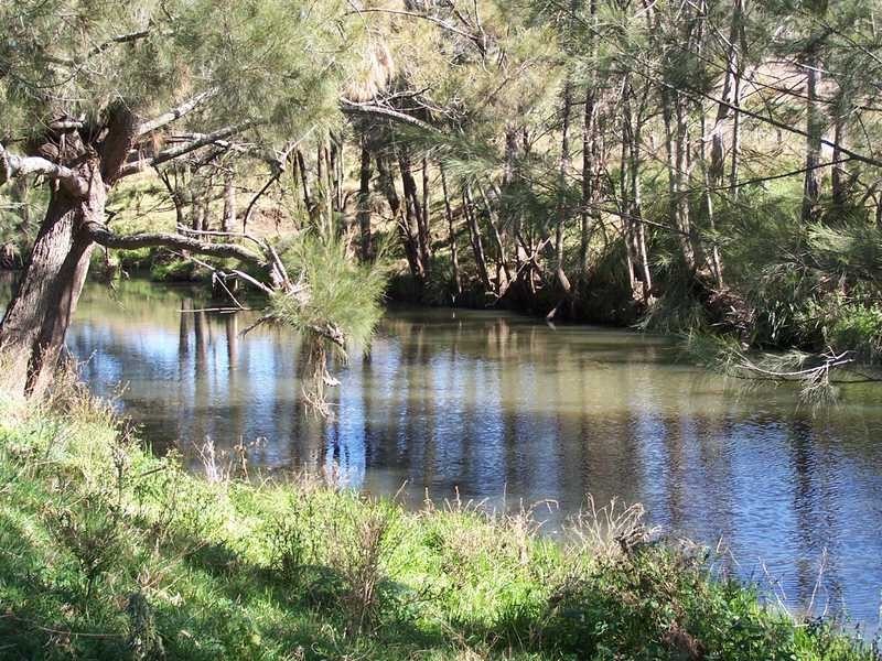 425 Condamine River Rd, Warwick QLD 4370