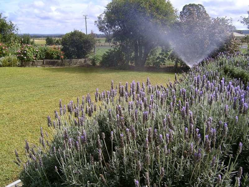 Warwick QLD 4370