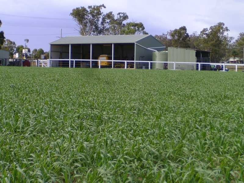 Warwick QLD 4370