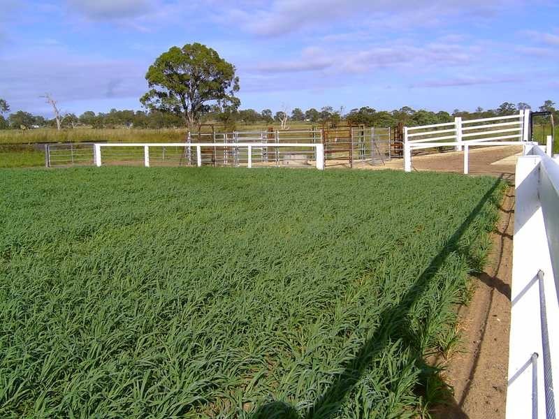 Warwick QLD 4370