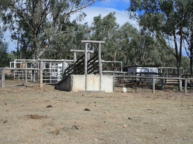 Lot/00 Texas-Stanthorpe Rd, Texas NSW 4385