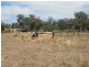 Lot/00 Texas-Stanthorpe Rd, Texas NSW 4385