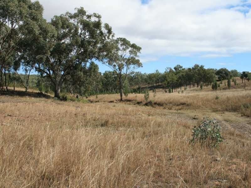 Lot/00 Texas-Stanthorpe Rd, Texas NSW 4385