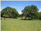 Tenterfield NSW 2372