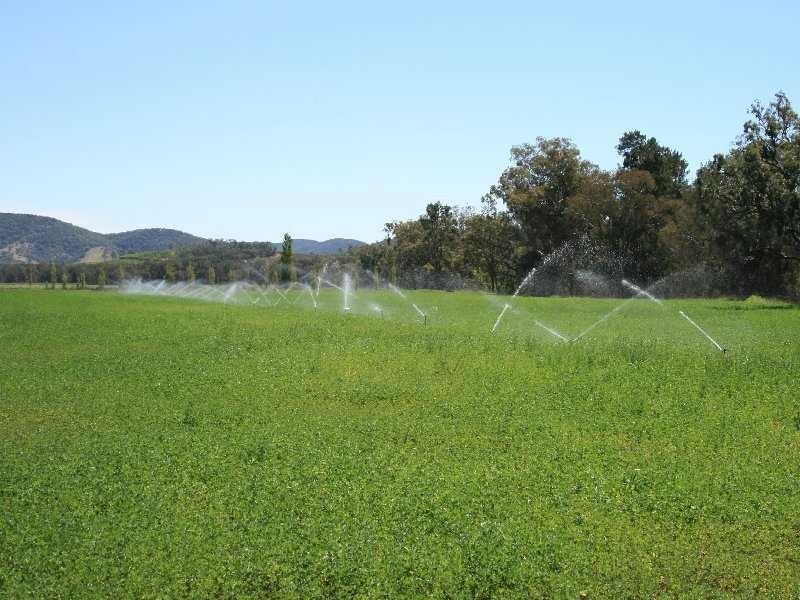 Tenterfield NSW 2372