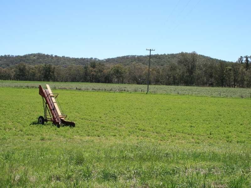 Tenterfield NSW 2372