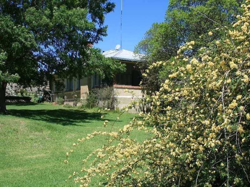 Tenterfield NSW 2372