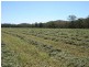 Tenterfield NSW 2372