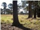 Stanthorpe QLD 4380