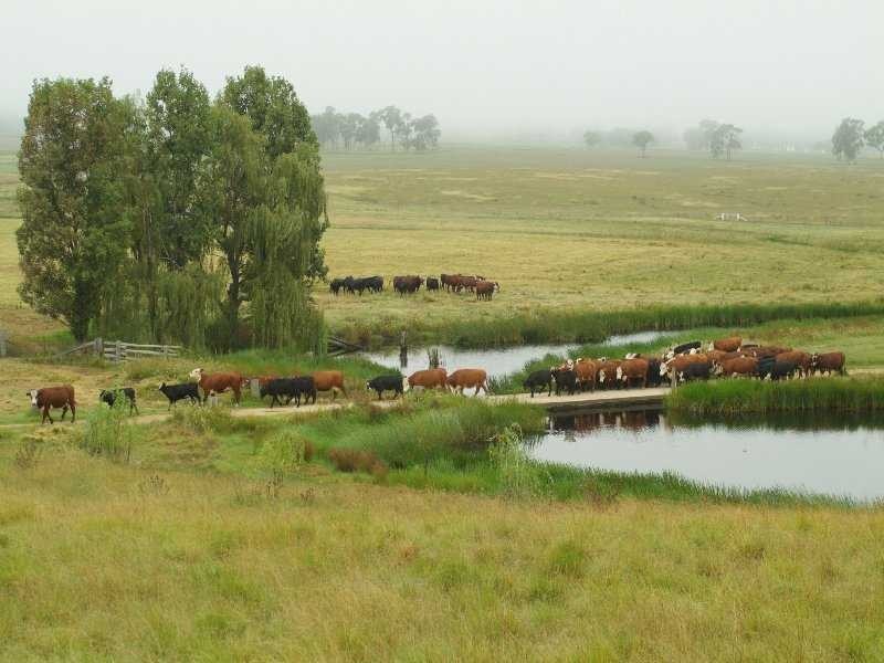 Warwick QLD 4370