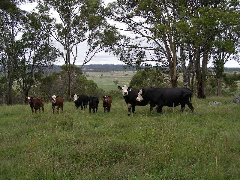 Warwick QLD 4370