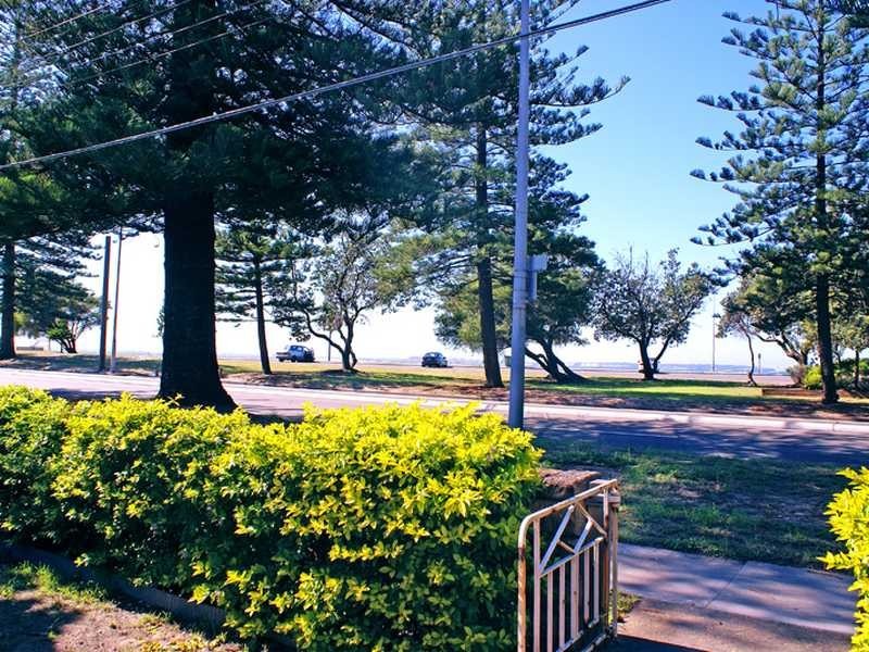 232 Grand Pde, Monterey NSW 2217