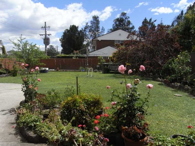 Holt Road, Taren Point NSW 2229