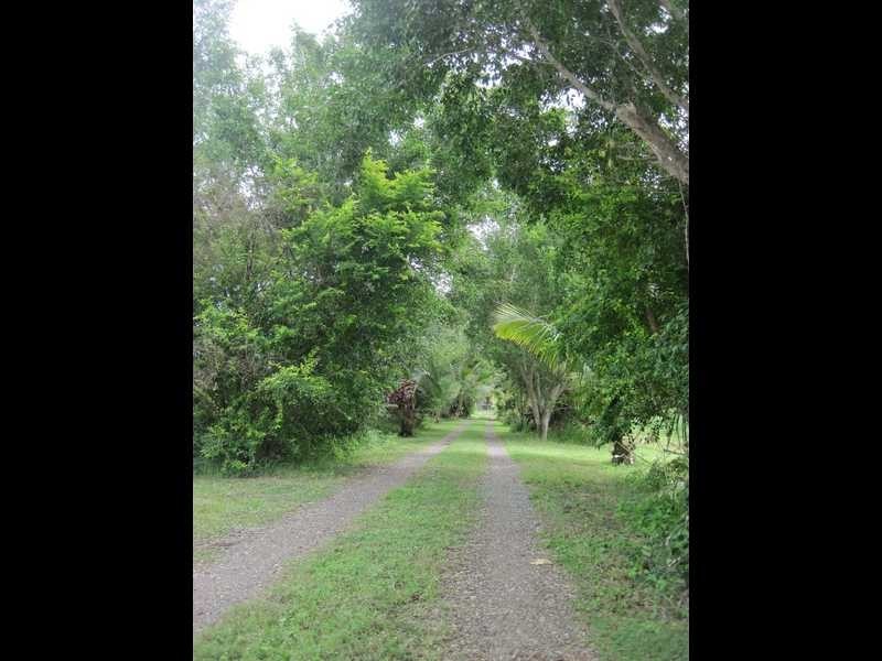 1050 Conway Road, Conway QLD 4800