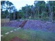 18 Horizon Court, Jubilee Pocket QLD 4802