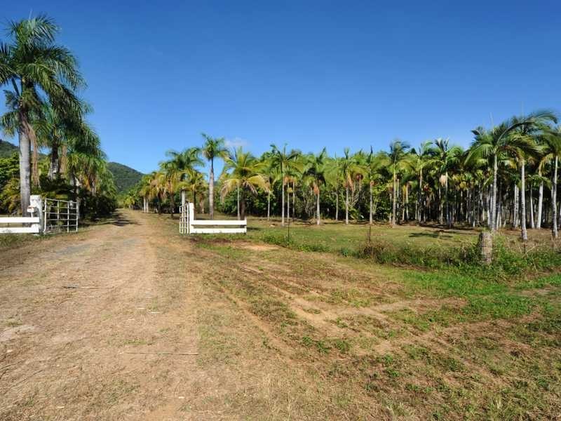 1069 Conway Road, Conway QLD 4800