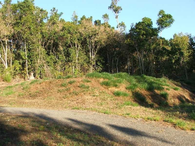 106 Moodys Road, Strathdickie QLD 4800
