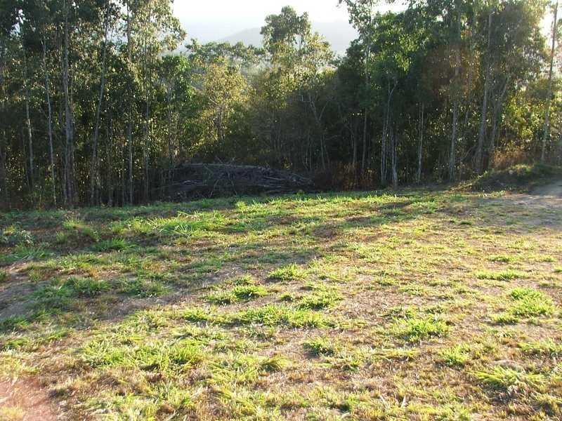 106 Moodys Road, Strathdickie QLD 4800