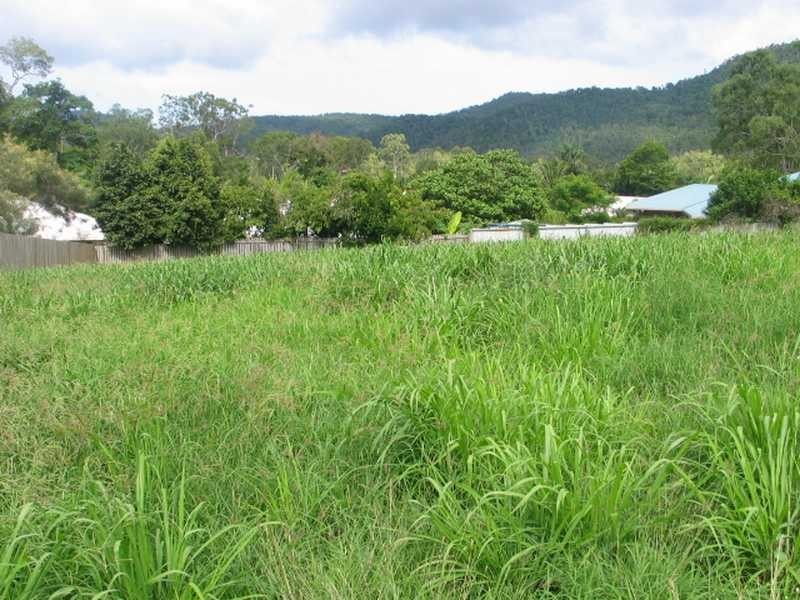 17 Armada Crescent, Jubilee Pocket QLD 4802