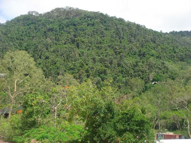 78 Country Road, Cannonvale QLD 4802