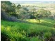 8 Bellview Close, Riordanvale QLD 4800