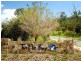 Lot 41 Beth Court, Cannonvale QLD 4802