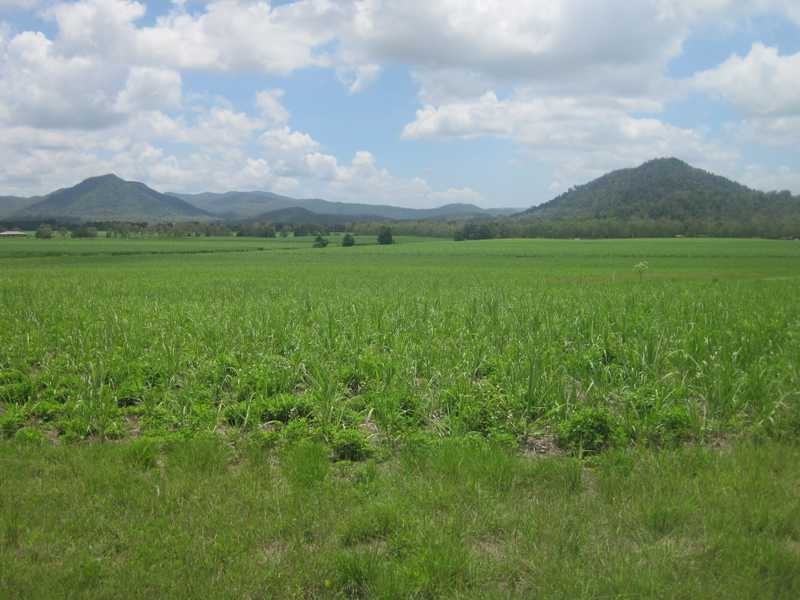 176 Wright Rd, Strathdickie QLD 4800