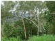 Lot 62 Black Rd, Riordanvale QLD 4800