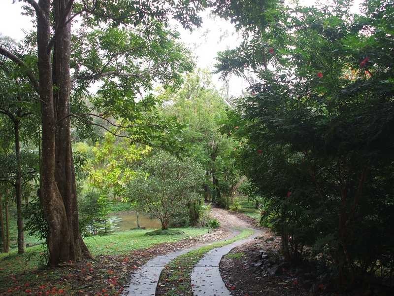 68 Domenica Rd, Sugarloaf QLD 4800