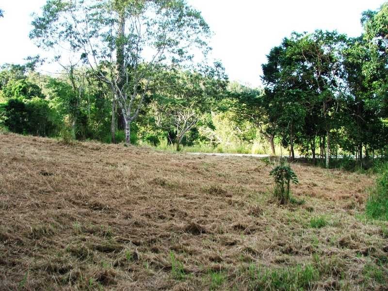 Lot 72/ Paluma Road, Cannonvale QLD 4802
