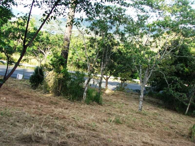 Lot 72/ Paluma Road, Cannonvale QLD 4802