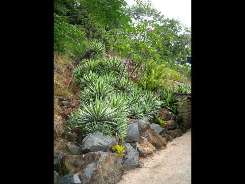 65 Namanula Drive, Flametree QLD 4802