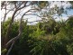 20 Country Road, Cannonvale QLD 4802