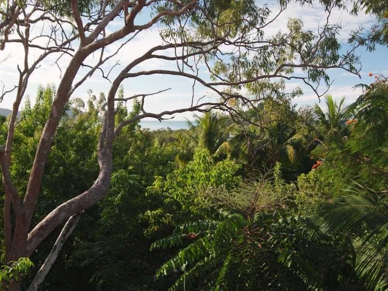 20 Country Road, Cannonvale QLD 4802